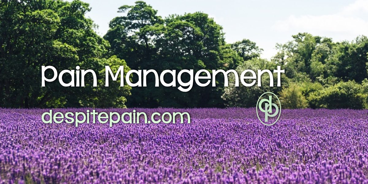 Pain management. Photo of a lavender fireld with trees in the background