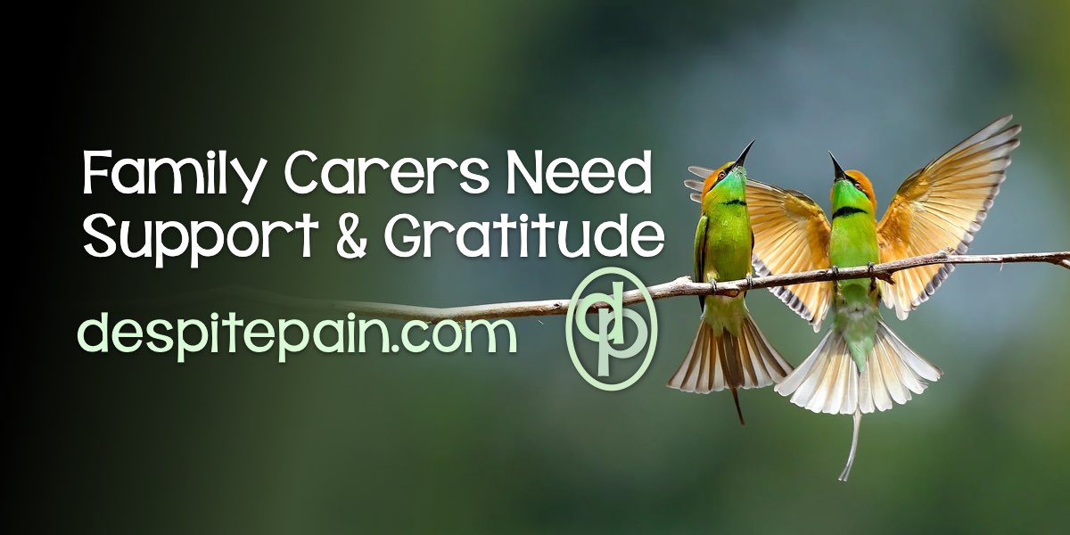 Family carers need support and gratitude. picture of two colourful birds