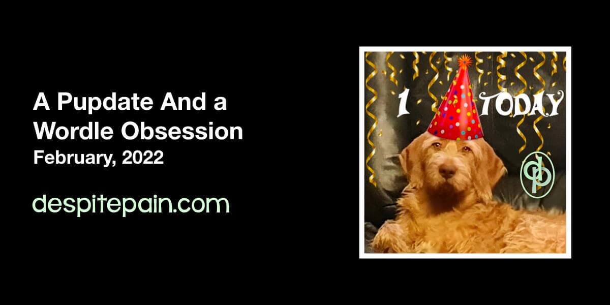 A pupdate and a Wordle Obsession. Black background with a photo of a dog wearing a party hat.