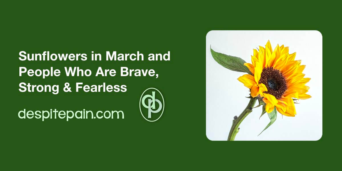 Sunflowers in March and people who are brave, strong and fearless. Image of a sunflower.