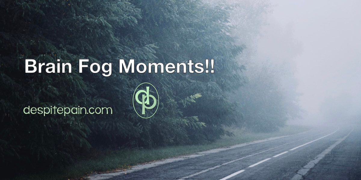 Brain Fog Moment - This is a black and white image of a foggy road with trees at the side.